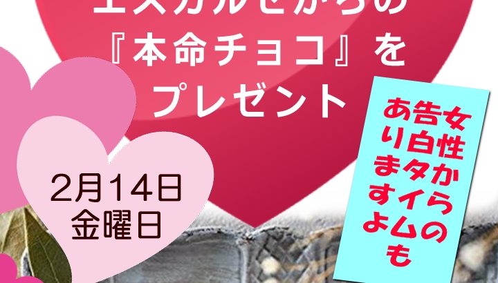 2月14日(金)男性全員にチョコをプレゼント