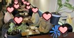 大好評★2024バレンタイン恋婚パーティー++リポート